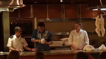 Towel Animal Demonstration