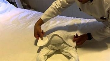 Towel Animal Demonstration