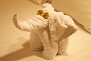 Towel Animals