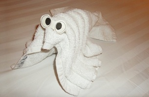 Towel Animals