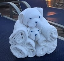 Towel Animals