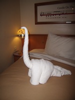 Towel Animals
