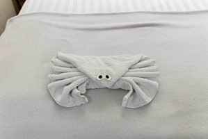 Towel Animals